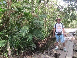 Trekking nella giungla