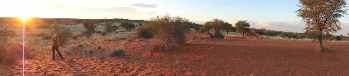 Deserto di Kalahari in Namibia