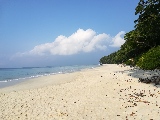 La spiaggia numero 7 sull'isola di Havelock, una delle isole Andamane, la più bella dell'Asia