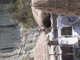 Cavascura in Ischia sono le terme dell'epoca romana