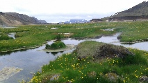 Landmannalaugar è dominata da una valle verde e circondata dalle montagne colorate