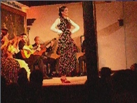 Un breve video di flamenco