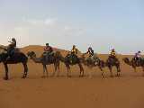 Carovana di cammelli nel deserto di Sahara marocchina