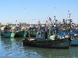 Al porto di Maputo c'è una grande flotta di pescherecci