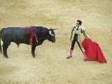 Torero, la figura principale della corrida, davanti al toro